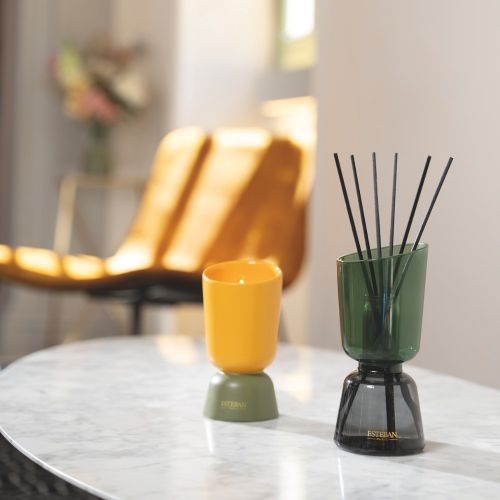 Profumatore a bouque ricaricabile 250ml Neroli-esteban-Gioielleria Granarelli