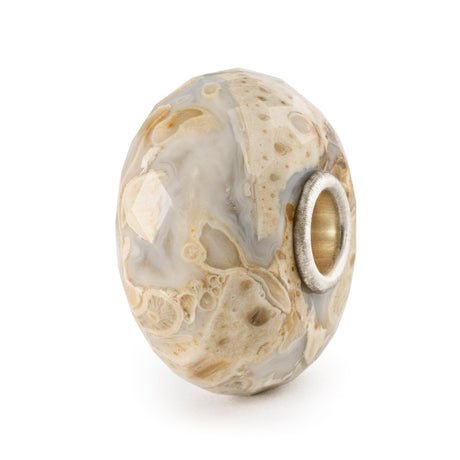 Legno Fossile-Beads-TROLLBEADS-Gioielleria Granarelli