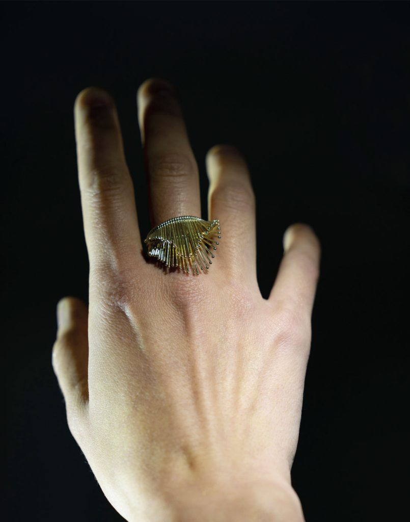Anello con Doppi Elementi Mobili