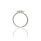 Anello Trilogy 0.27kt-Anelli-GRANARELLI-8-Gioielleria Granarelli
