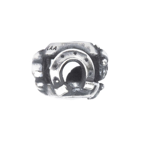 Cammino della Fortuna-Beads-TROLLBEADS- [SKU] -Gioielleria Granarelli