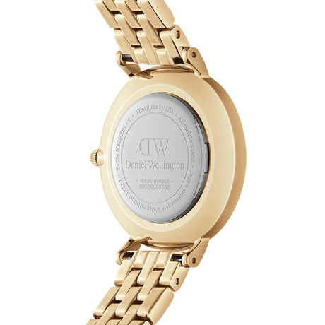 Petite 5-Link Evergold 28 mm-Orologi-DANIEL WELLINGTON-Gioielleria Granarelli