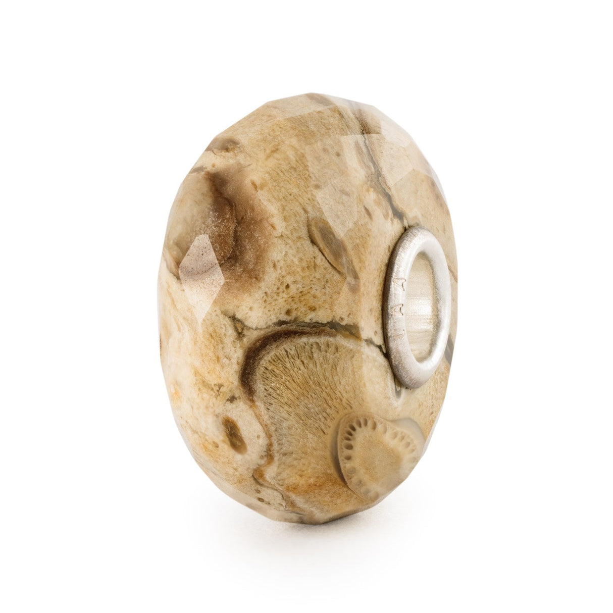 Legno Fossile-Beads-TROLLBEADS-Gioielleria Granarelli