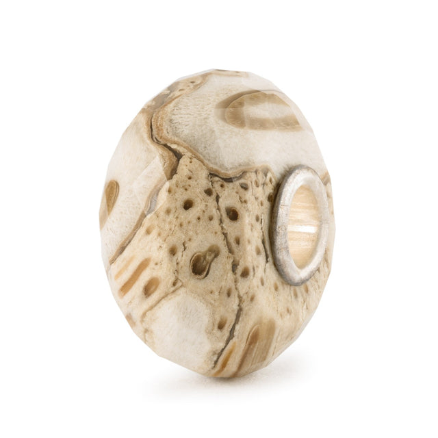 Legno Fossile-Beads-TROLLBEADS-Gioielleria Granarelli