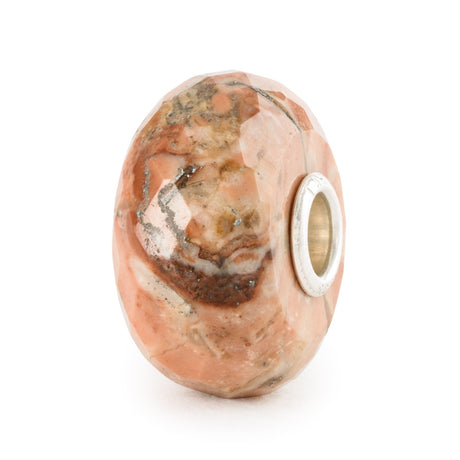 Conchiglia Fossile-Beads-TROLLBEADS-Gioielleria Granarelli