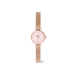 Petite Mini Blush Melrose-Orologi-DANIEL WELLINGTON-Gioielleria Granarelli