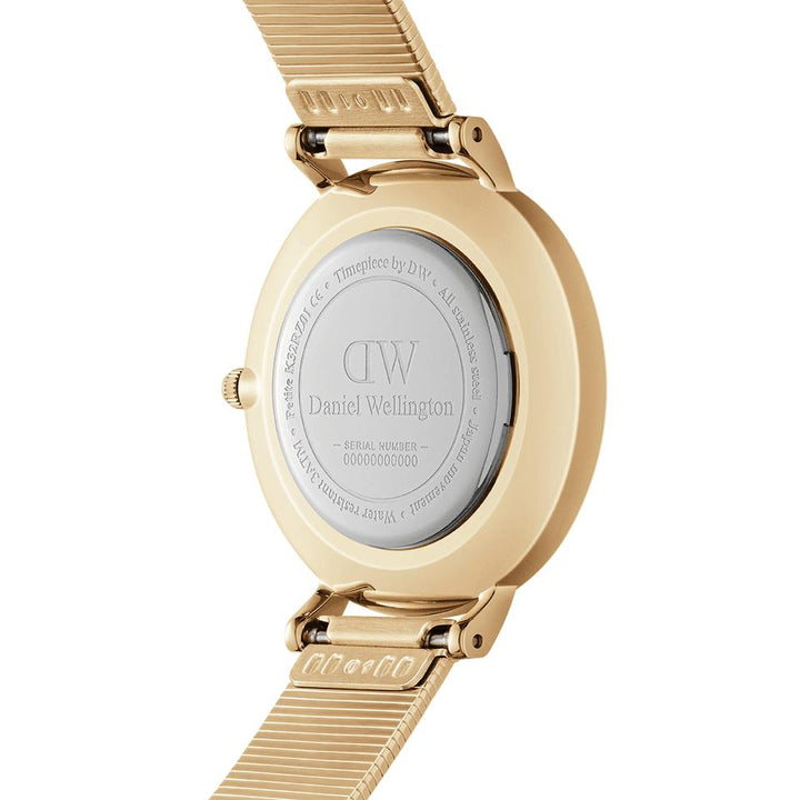 Petit Lumine Pressed Piano Evergold 28mm-Orologi-DANIEL WELLINGTON-Gioielleria Granarelli