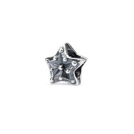 Bead Stella dell'Acquario-Beads-TROLLBEADS-Gioielleria Granarelli